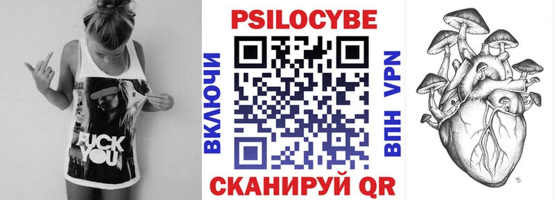 Псилоцибиновые грибы Cubensis  Купить закладки  Нестеровская 